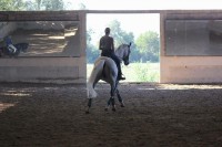 /album/galerie-de-photos-absolu/absolu-entrainement-jpg/